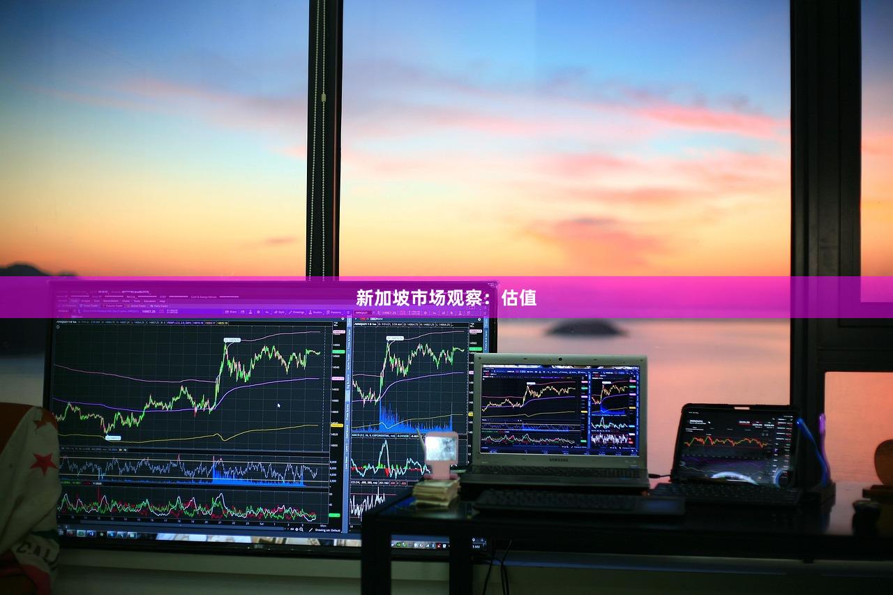 新加坡市场观察：估值