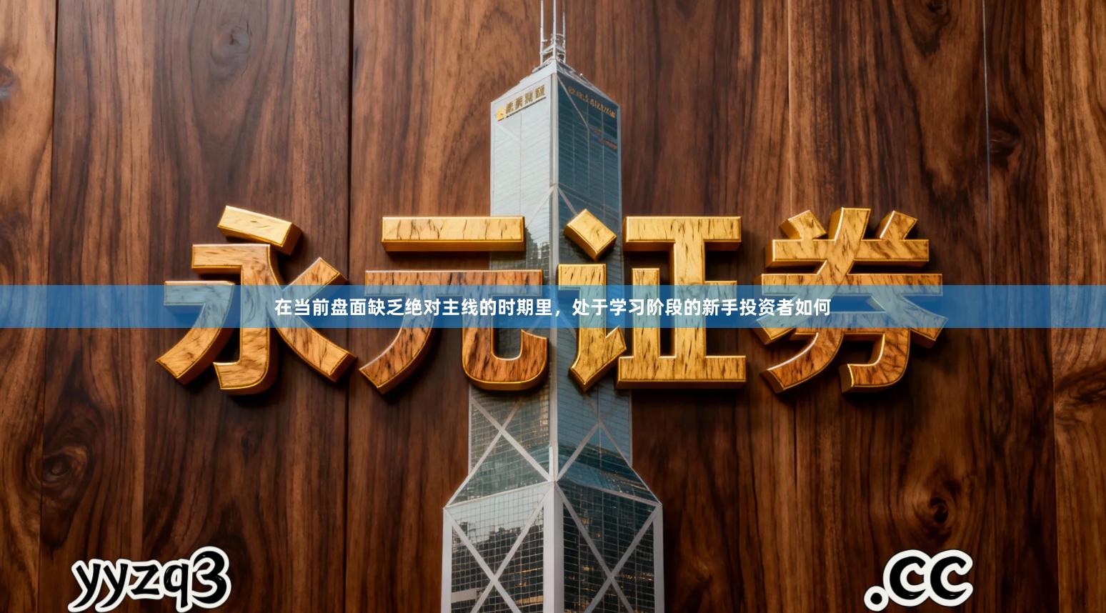 在当前盘面缺乏绝对主线的时期里，处于学习阶段的新手投资者如何