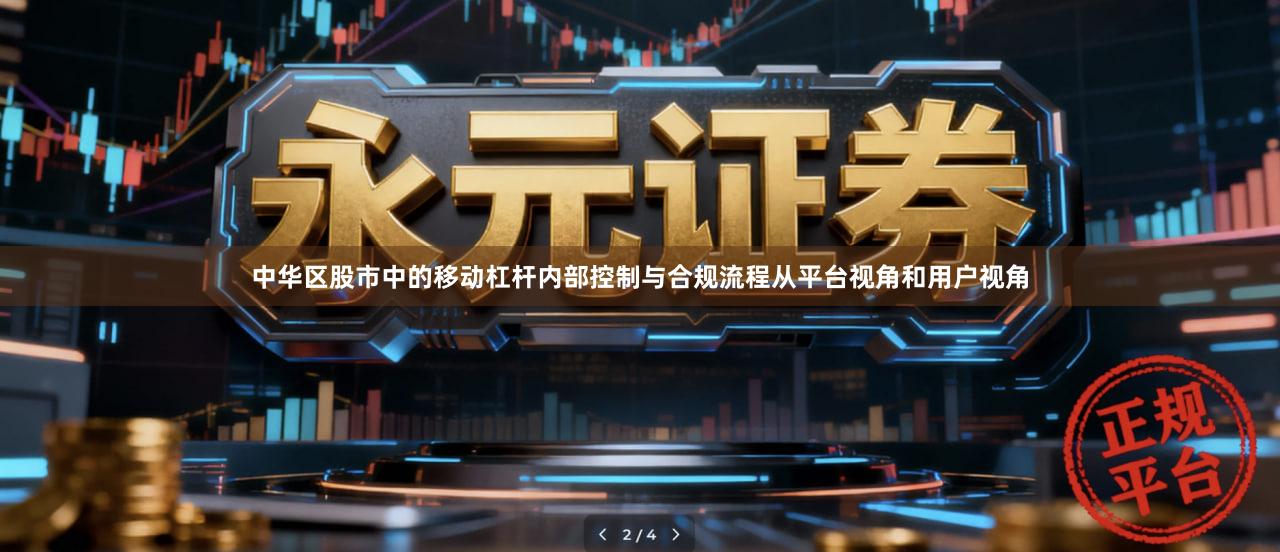 中华区股市中的移动杠杆内部控制与合规流程从平台视角和用户视角